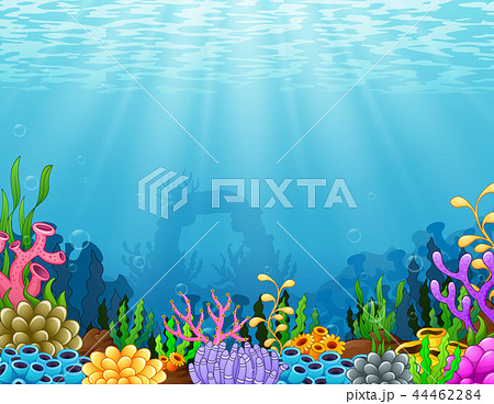 サンゴのイラスト素材 Pixta