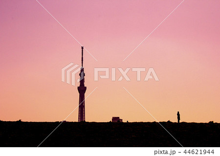 東京スカイツリー 荒川 夕焼け シルエットの写真素材