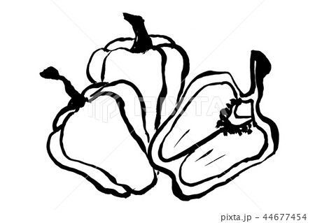 野菜 ピーマン 緑 手書きの写真素材 Pixta