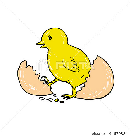 孵化 ヒビ 割れる 卵のイラスト素材