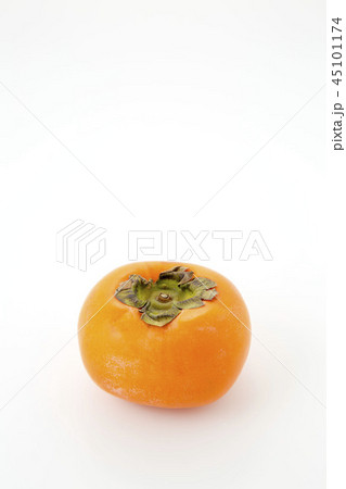 柿のへたの写真素材
