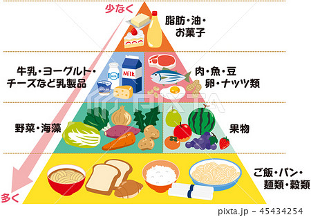 食材 食品 栄養 食育のイラスト素材