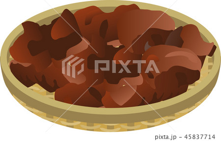 キクラゲのイラスト素材 Pixta