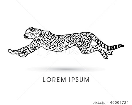 チーター 動物 狩り 狩るのイラスト素材