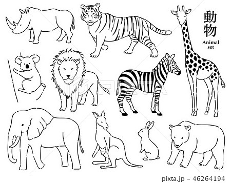 キリン 動物 手描き リアルの写真素材