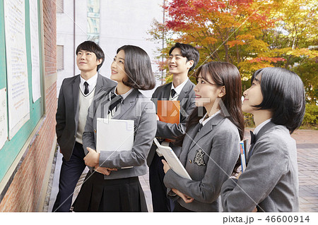 掲示板 高校生 制服 友達の写真素材