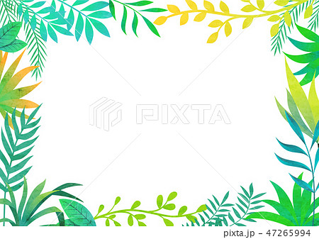 葉 葉っぱ フレーム 枠のイラスト素材 Pixta