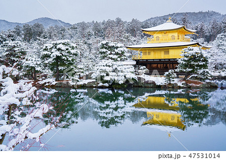 冬 京都 雪景色 和風 寺の写真素材