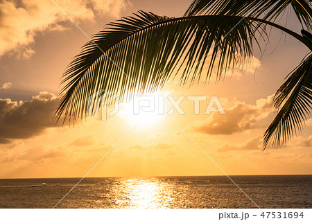 ハワイの夕日の写真素材