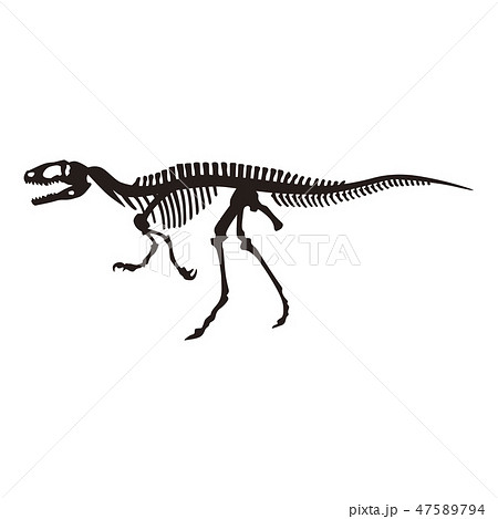 ベクター 恐竜 イラスト モノクロの写真素材