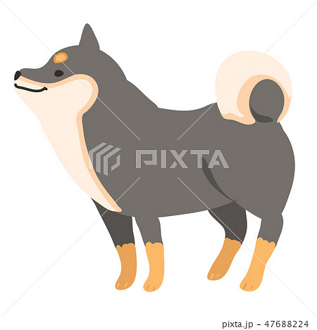 柴犬 犬 日本犬 黒柴のイラスト素材