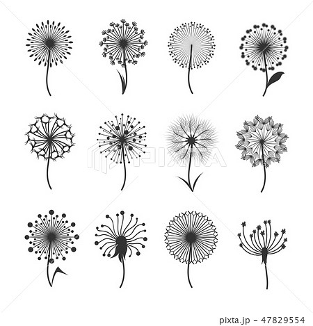 トップ100 たんぽぽ イラスト 白黒 美しい花の画像