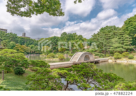 庭 日本庭園 石橋 池の写真素材 - PIXTA