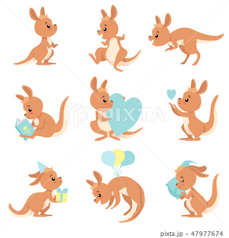 ワラビー 動物 生き物 かわいいのイラスト素材