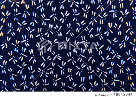 勝虫の写真素材