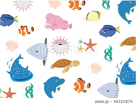 海の生き物のイラスト素材 Pixta