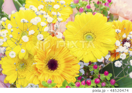 花びら ガーベラ カラフル 沢山 花束 生花 黄色の写真素材