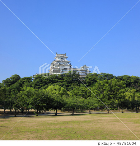 シロトピア記念公園の写真素材