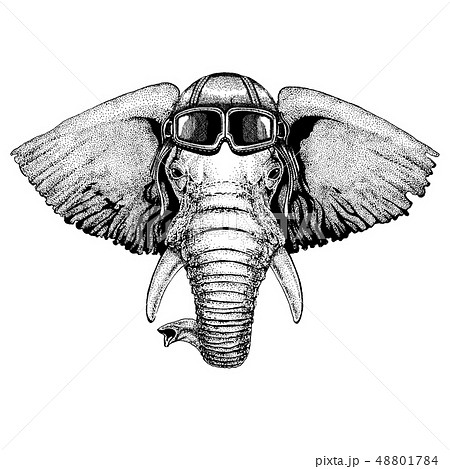 ゾウ 象 手描きの ヘルメットのイラスト素材
