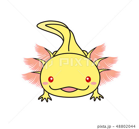 ウーパールーパー 全身 Axolotl ゴールデン アルビノのイラスト素材 4044