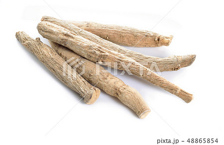 Image of Immunity Booster Plant, Withania Somnifera, Known Commonly As  Ashwagandha Its Roots And Orange-Red Fruit Have Been Used For Hundreds Of  Years For Medicinal Purposes-AW540163-Picxy