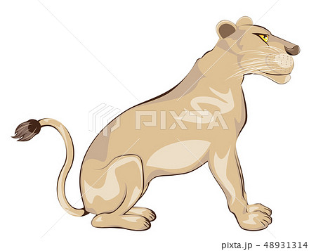 ライオン 横顔 動物園 座るのイラスト素材