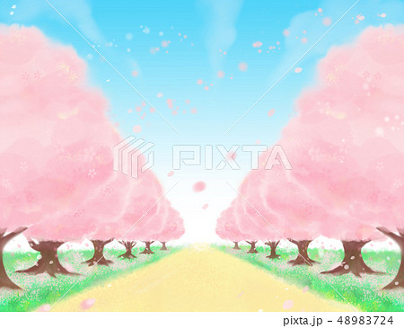 桜並木道のイラスト素材