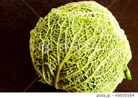 緑黄色野菜 キャベツ 食べ物 ヨーロッパの写真素材