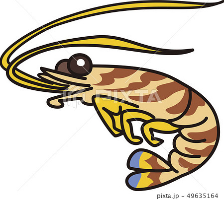 車エビのイラスト素材