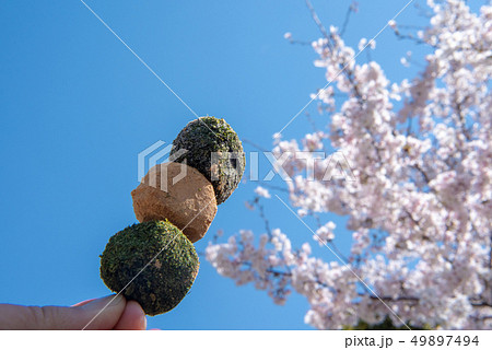 花より団子 ことわざ 諺 花の写真素材