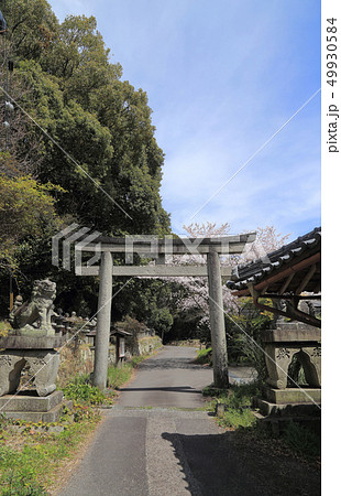 こんぴら五街道の写真素材