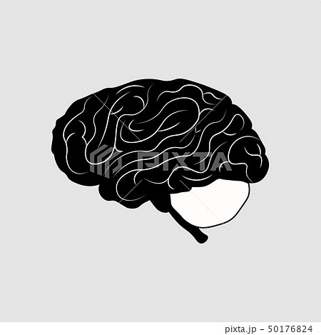 Brain icon - Stock Illustration [81341336] - PIXTA