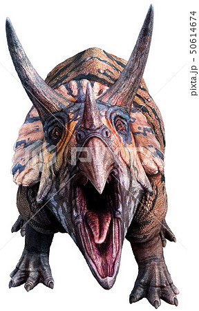 トリケラトプス 恐竜 爬虫類 立体のイラスト素材