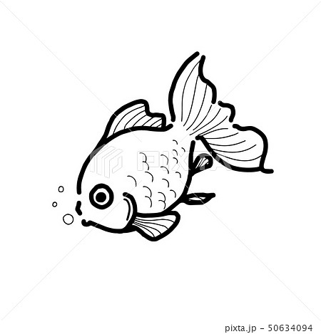 金魚 イラスト 白黒 かわいいの写真素材