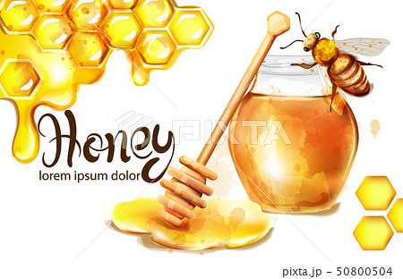 Honeycomb Banner Watercolor Illustration のイラスト素材