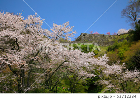 岡城址の写真素材