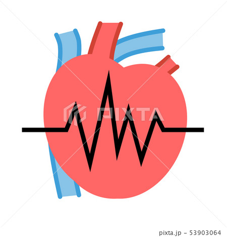 心臓 臓器 シンプル 心電図のイラスト素材