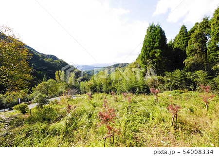 永野の写真素材