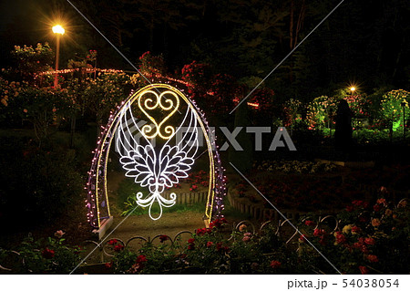 岩手県 花巻市 バラ園 ライトアップの写真素材