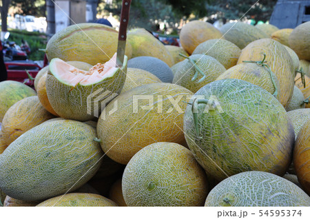 ハミ瓜の写真素材