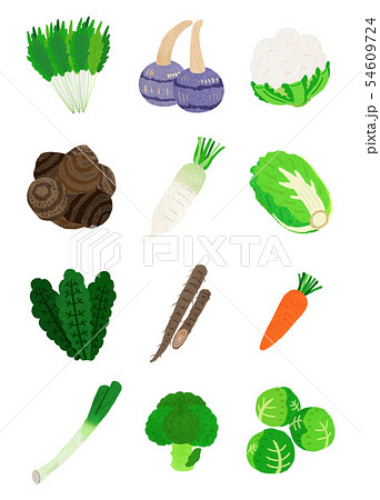 冬野菜のイラスト素材