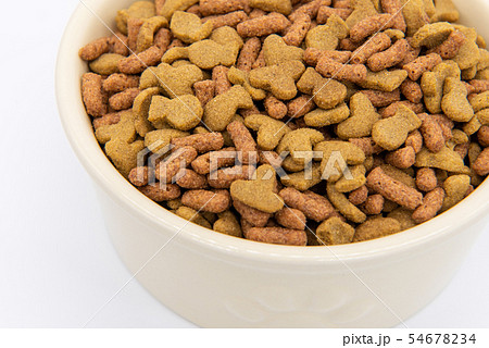 キャットフードの写真素材