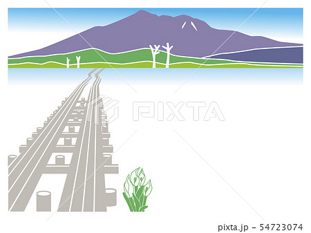 水芭蕉のイラスト素材