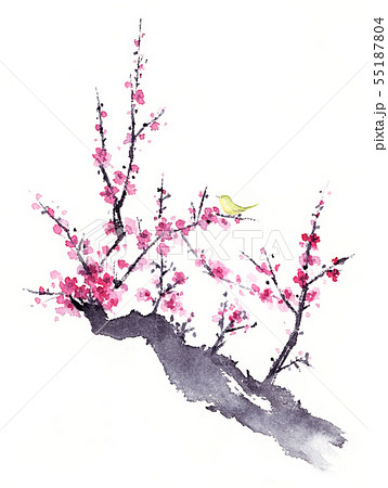 梅 梅の花 墨絵 水墨画の写真素材 - PIXTA