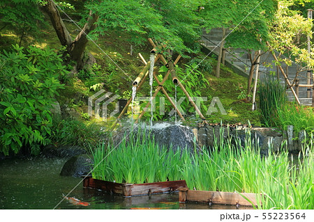 ししおどし 鎌倉 池 日本庭園の写真素材