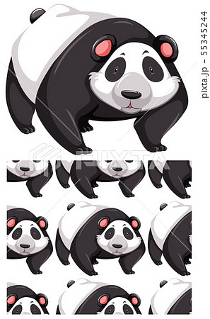 Panda Illustrations