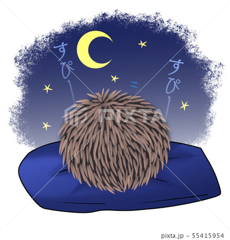 寝息 かわいいの写真素材