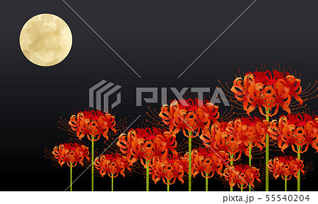 曼珠沙華のイラスト素材