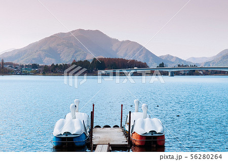 湖 河口湖 スワンボート 白色の写真素材