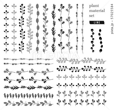 植物 ベクター 葉 モノクロのイラスト素材